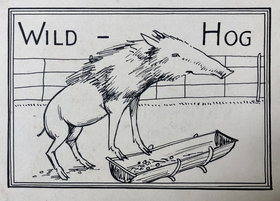 Cicely Hey, Wild Hog (Design for Pub Sign), c. 1936