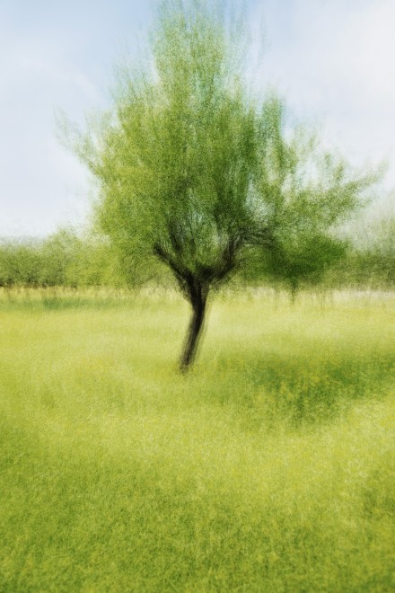 Jacob Gils, Andratx #1, 2015