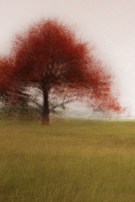 Jacob Gils, Fredreriksdal #7, 2018