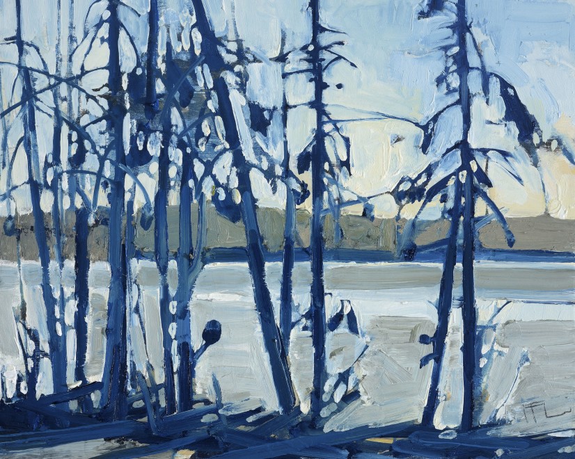 Through Spruce, Prussian Blue