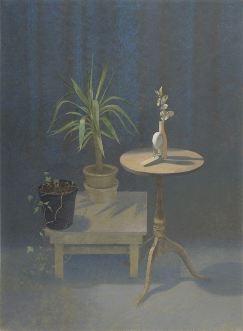 Still Life by Artificial Light