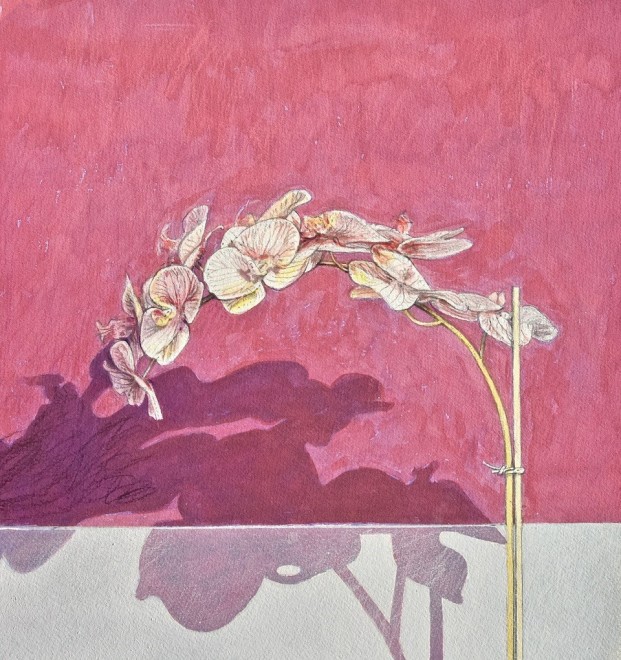 Study for Orchids