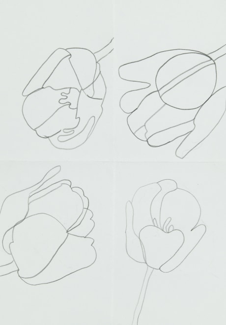 Tulip Studies 2023