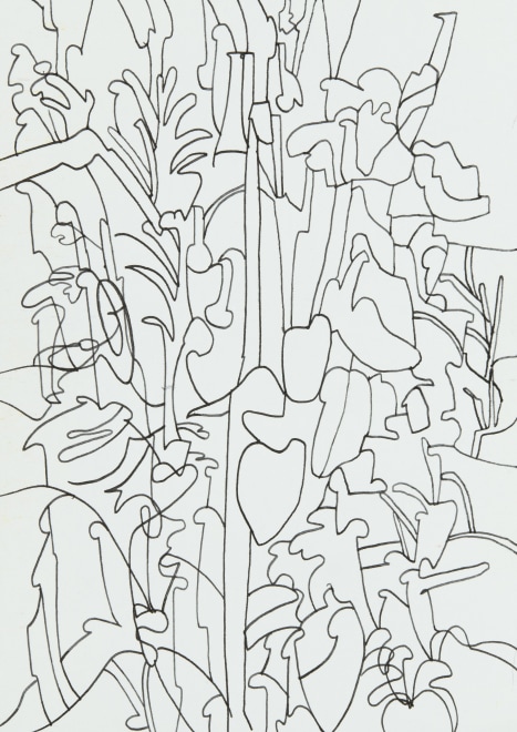 March Garden 2023