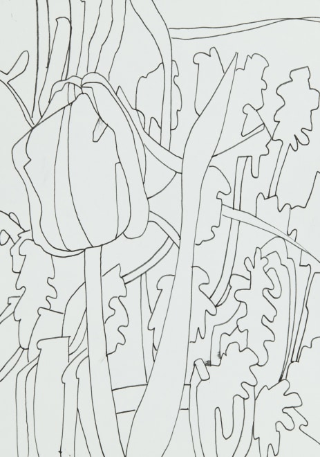 Tulip Garden 2023