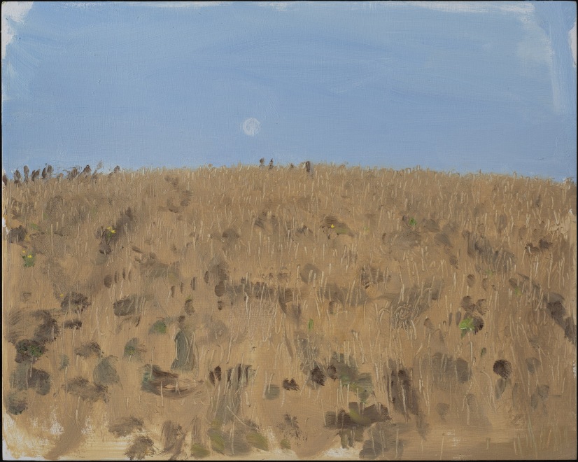 <span class="artist"><strong>Danny Markey</strong></span>, <span class="title"><em>Fields with Blue Sky and Moon</em>, 2015</span>