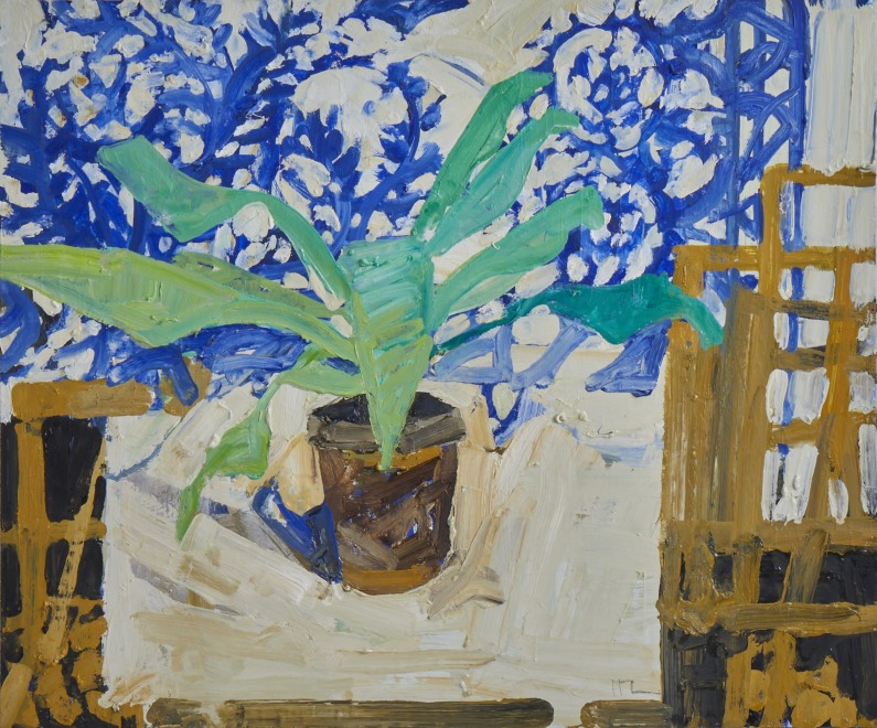 Evening Studio Plant