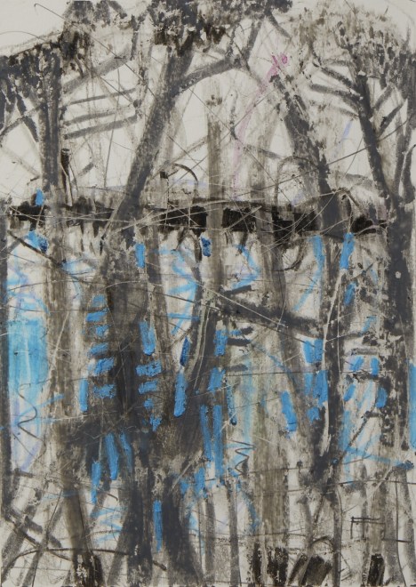 Grey Pine Riverbank