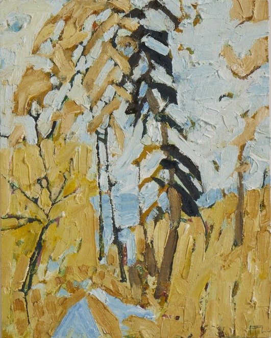 Scots Pine Embankment