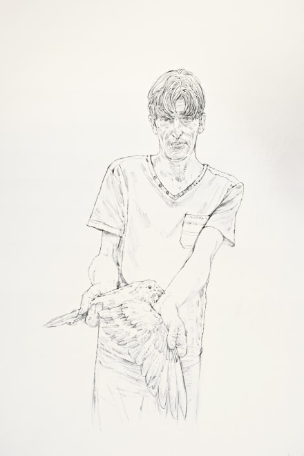 Study for Racing Pigeon