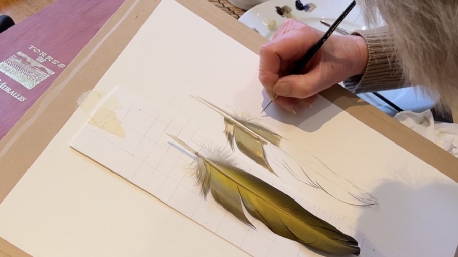 Elizabeth Butterworth's example of painting feathers
