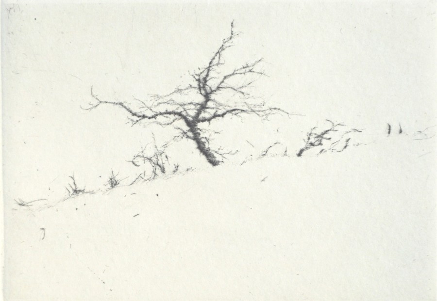 LARS NYBERG RE