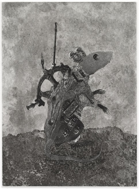 Justin Diggle  Recce Rat