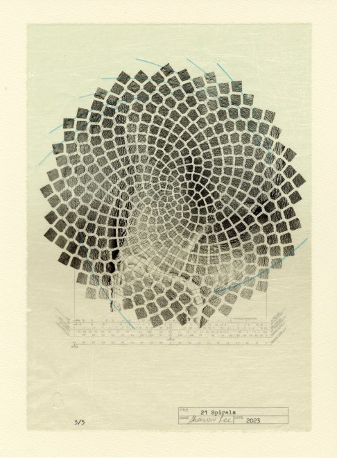 Sharon Lee  21 Spirals