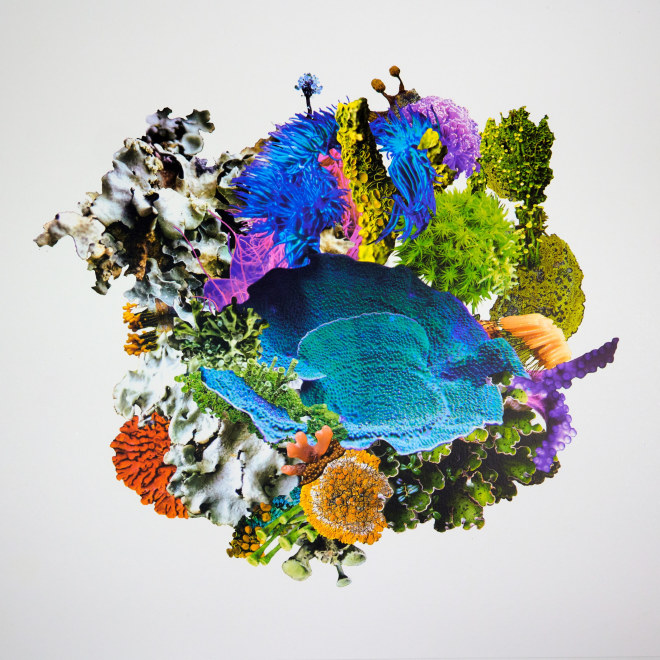 Neeli Malik  On The Surface of the Reef