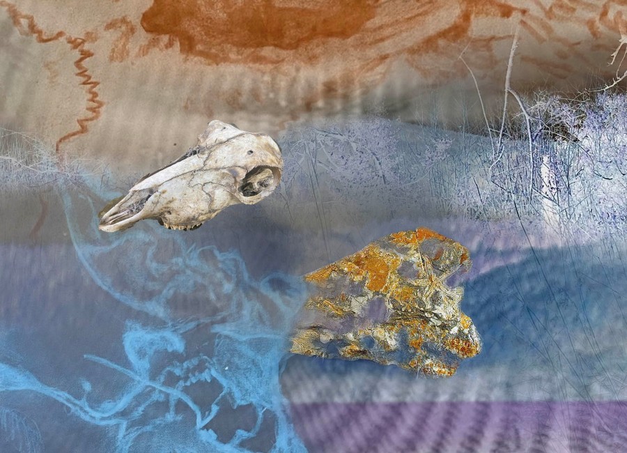 Fiona McIntyre  From The Ocean Bed