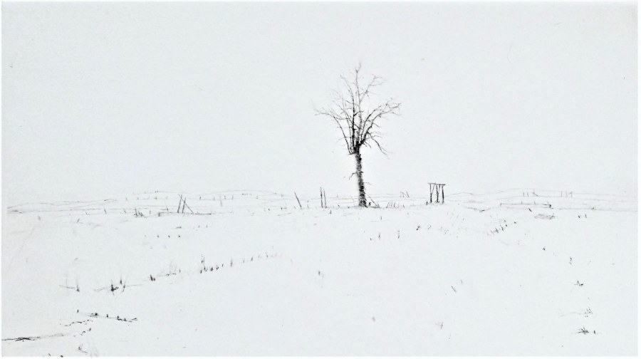 Lars Nyberg  Land Lost
