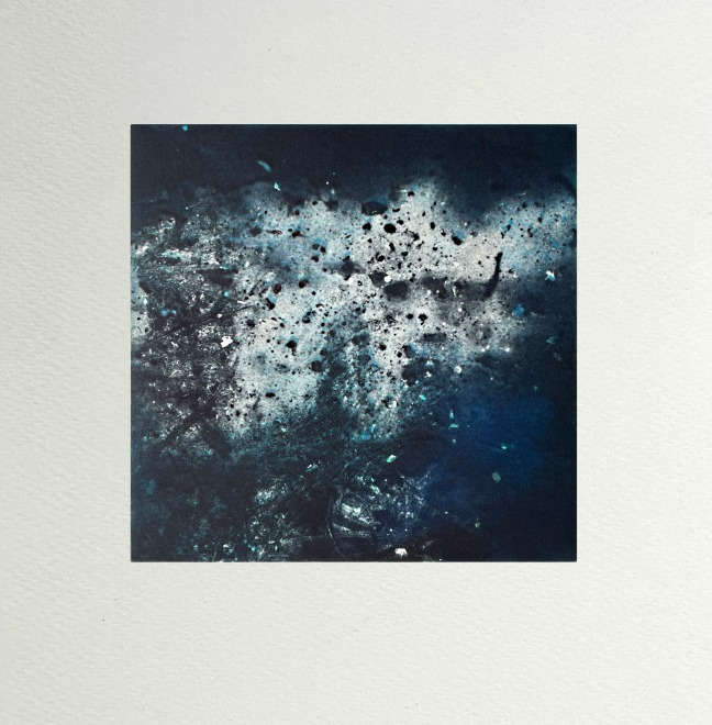 Ione Parkin  Fluorescence Micrograph Series - Sample I