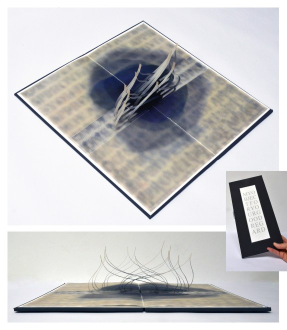 Sioban Piercy  My Object For Your Good Regard
