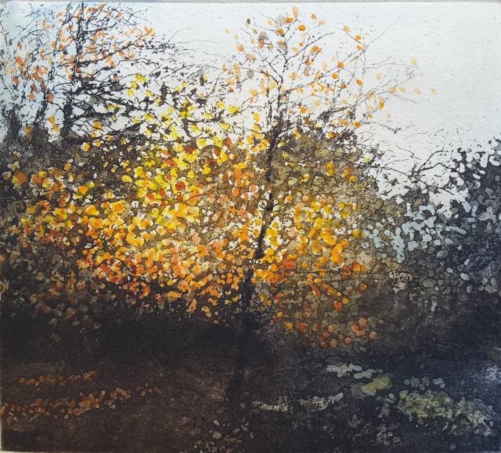 Jo Barry  Warmth of early morning