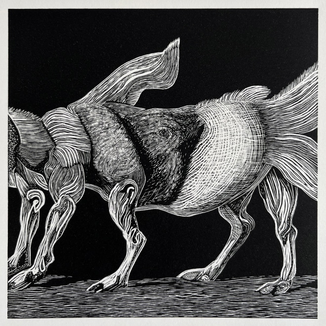 Leonie Bradley  Text Prompt: A General History of Quadrupeds I