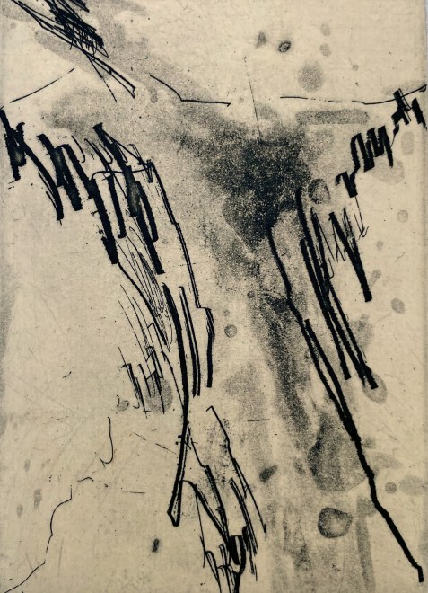 Danielle Creenaune  Shadow Falls