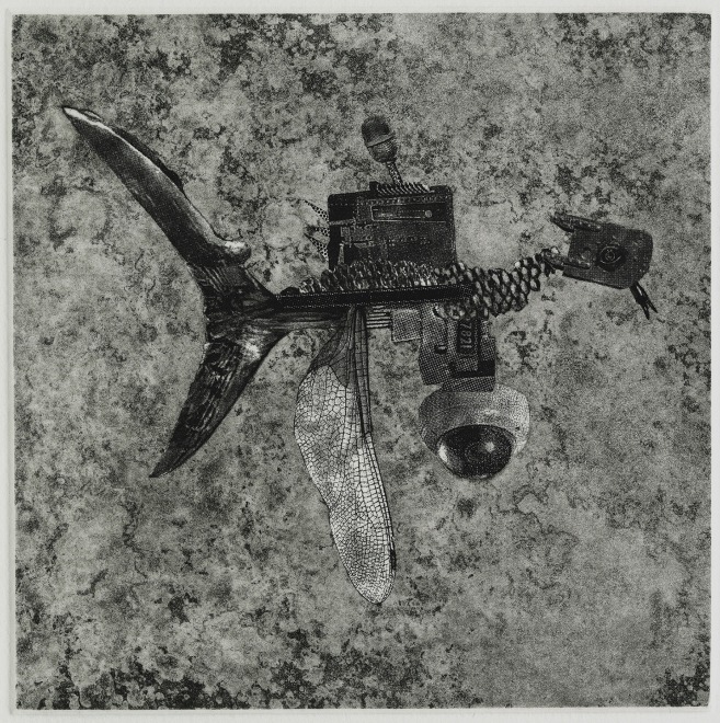 Justin Diggle  Aquatic Hybrid Surveillance Drone