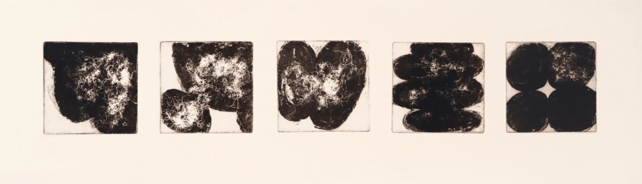 Christine Dong  Mitosis
