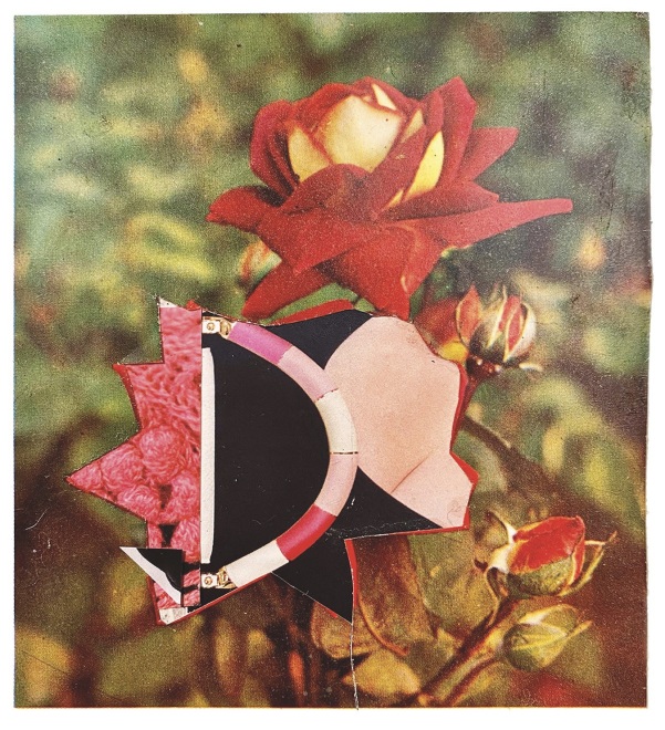 David Ferry  Flower Montage 2