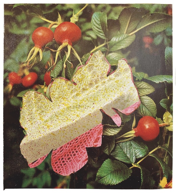 David Ferry  Flower Montage 3