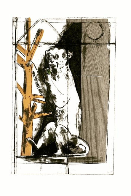 Stephen Fowler  Taxidermed Primate