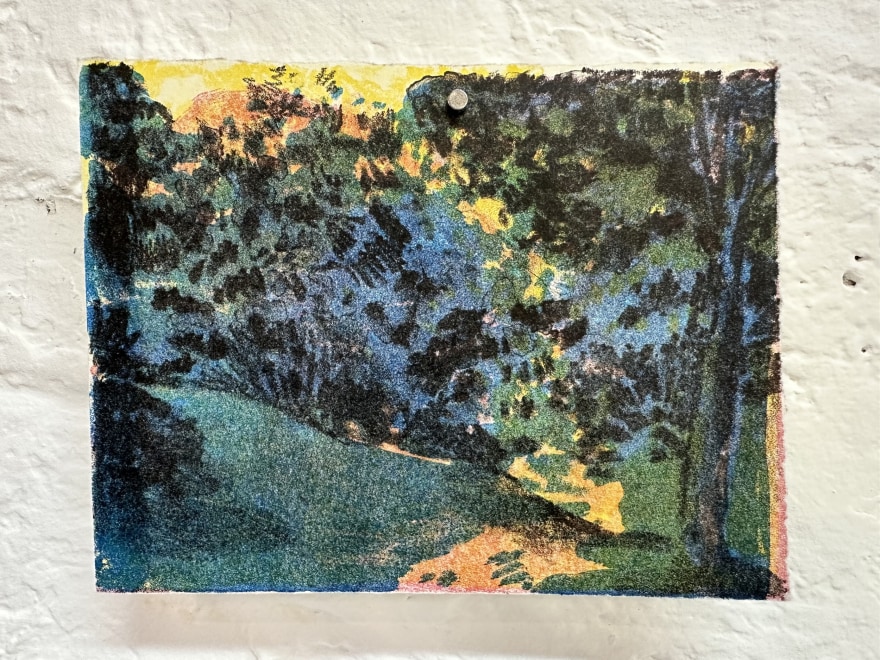 Skyler Yixian Liu  The Woods