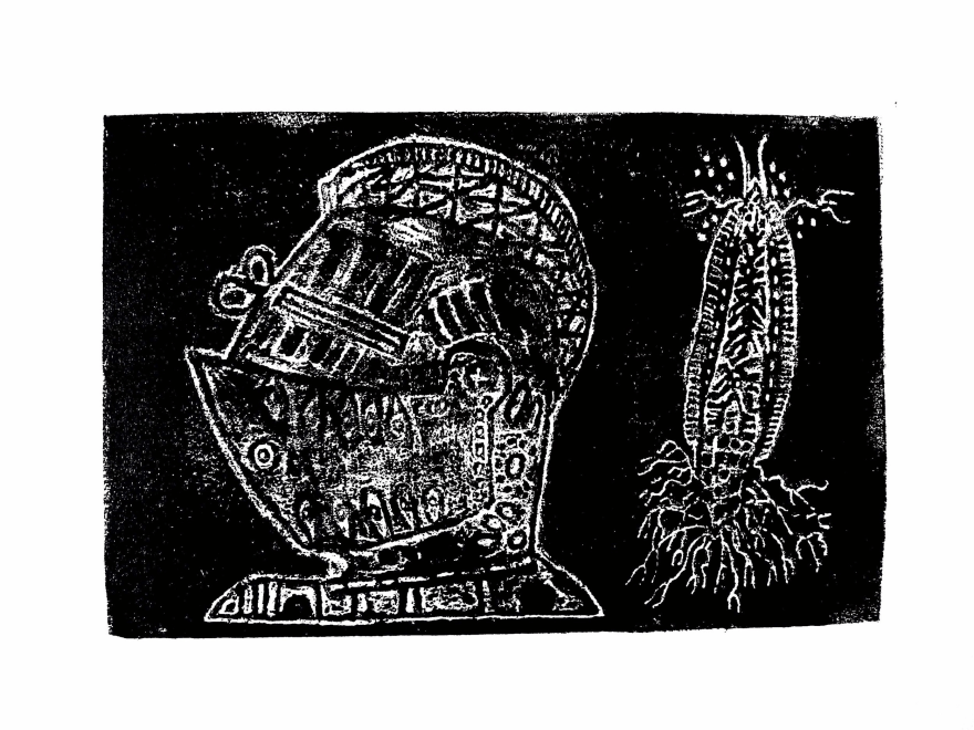 Stephen Mumberson  Knight and Insect Structure