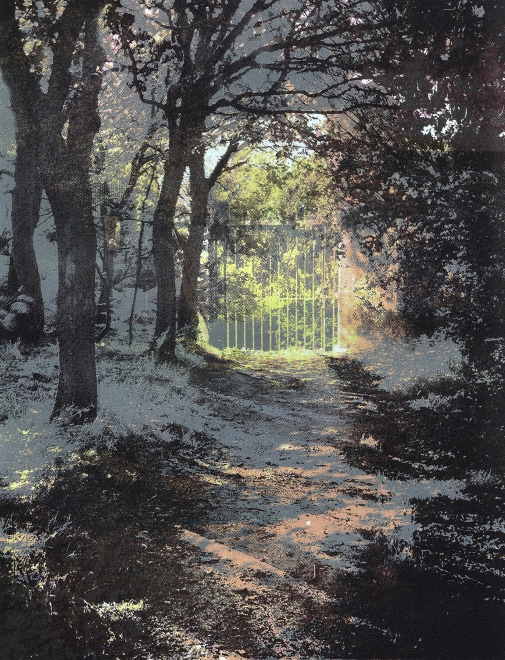 Glynis Porter  The Enchanted Garden