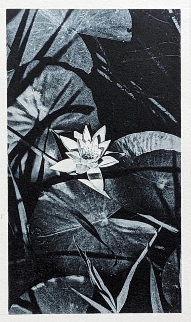 Ros Pritchard  Bosherton 2