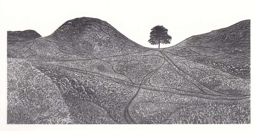 David Robertson  Sycamore Gap