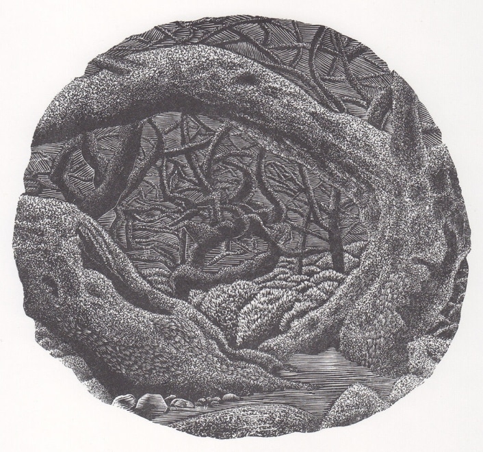 David Robertson  Wistman's Wood