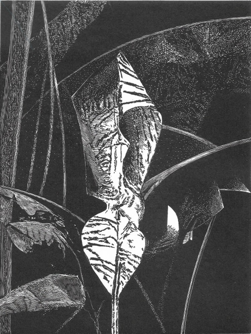 Peter S Smith  Bright Leaf