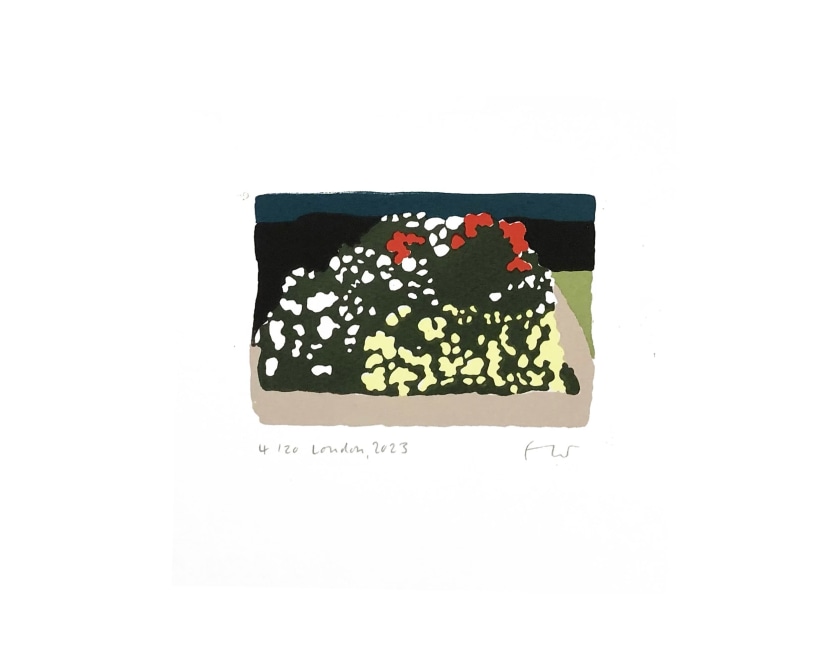 Fiona White  London 2023, Municipal Bedding Plants and Displays 2