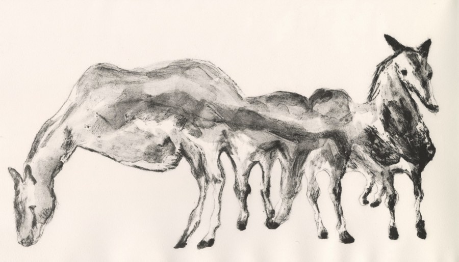 Chaoming Zheng  Metamorphosis IV