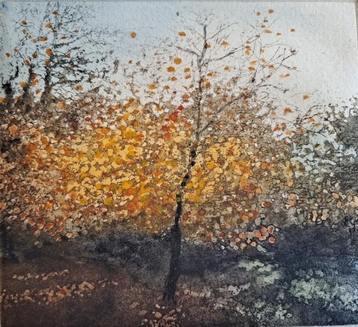 Jo Barry  Warmth of Early Morning