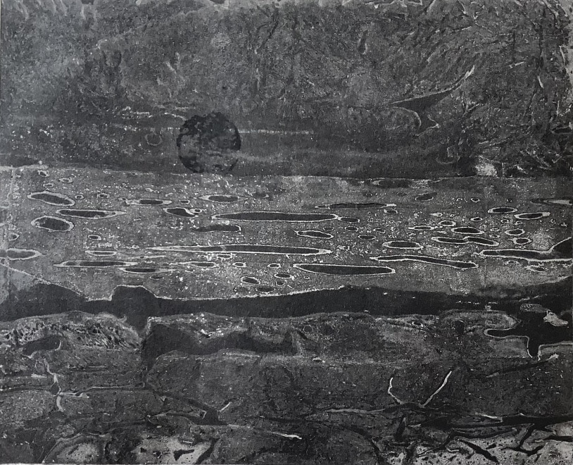 Ray Bass  Estuary: Another World