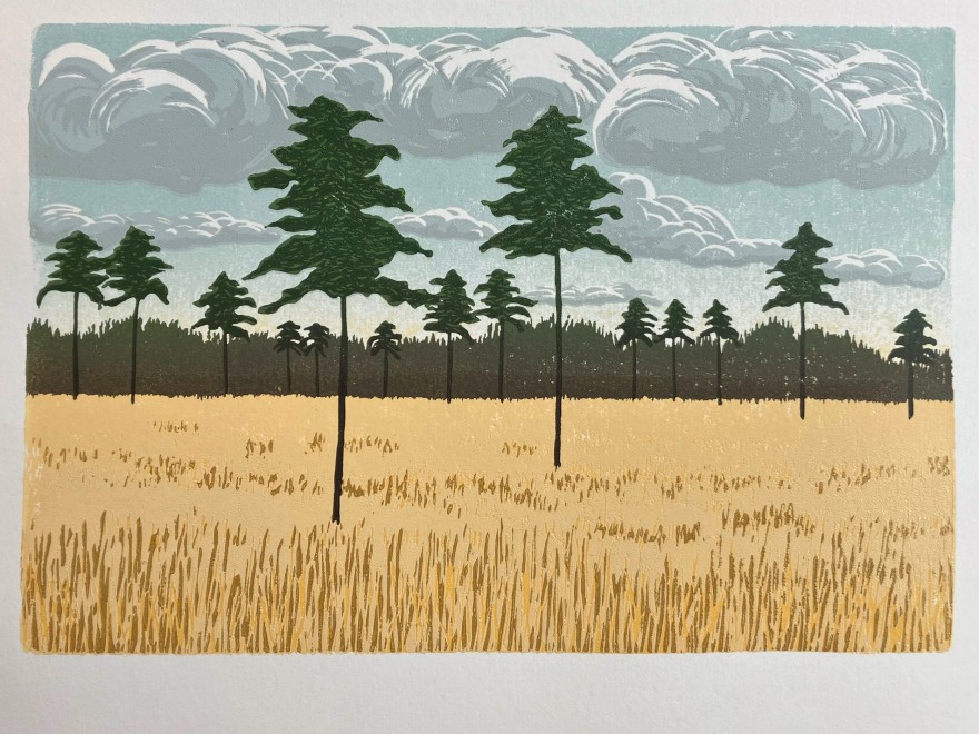 Jo Boddy  Winter Grasses