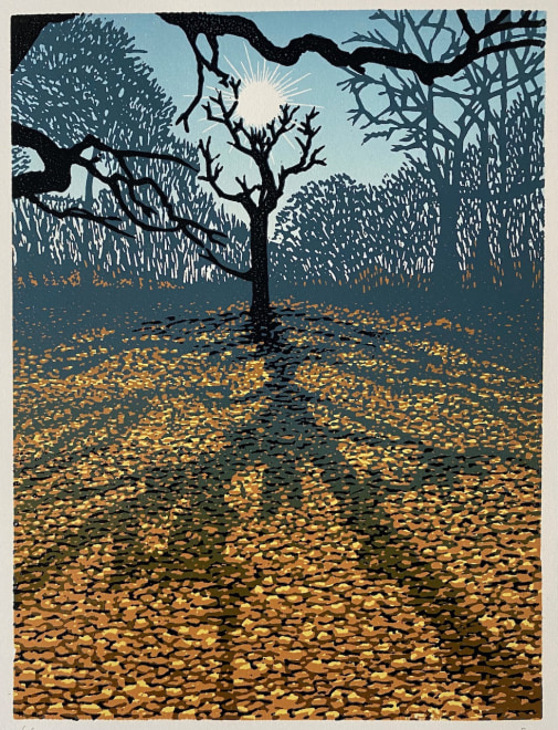 Eddie Curtis  Oak Wood in January