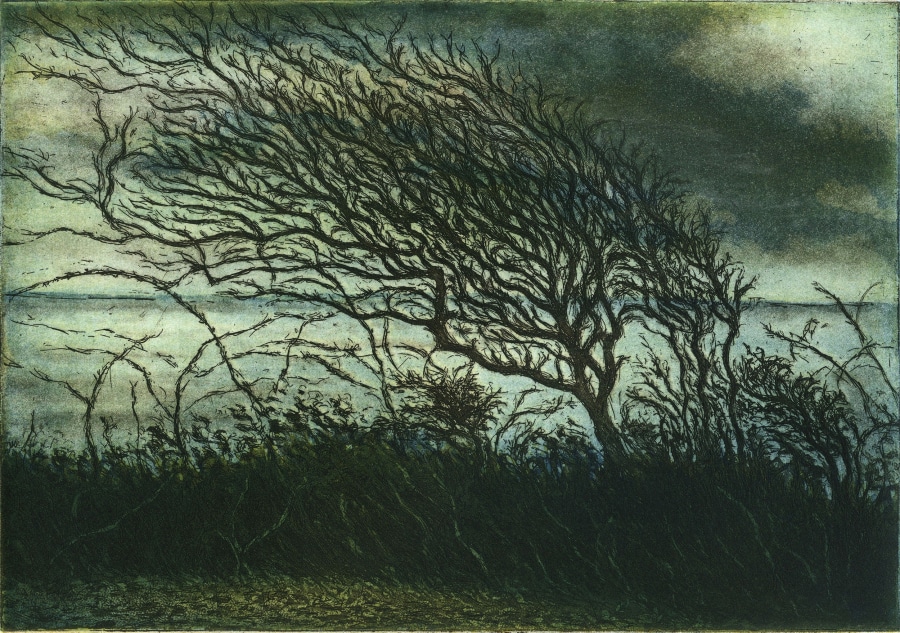 Jolanta Grzybowska  Sand Point Tree