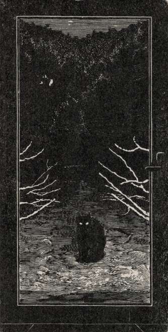 Lydia Lander  Cat in the Snow