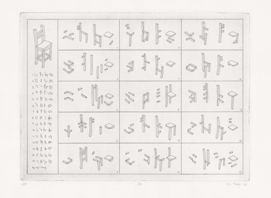 Ziyi Tang  The Chair