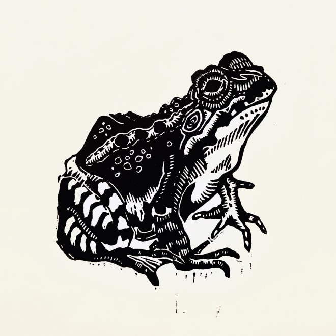 Hazel Brown  Frog