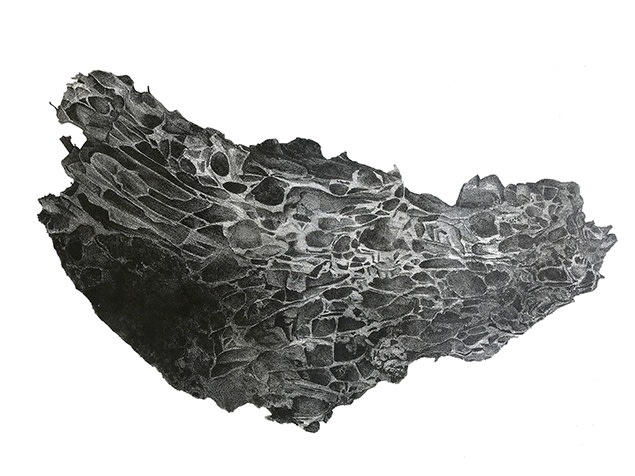 SELECTION PANELIST  Johanna Love Artist and MA Printmaking Leader, Camberwell College of Art  Reliquiengarten Staub 10