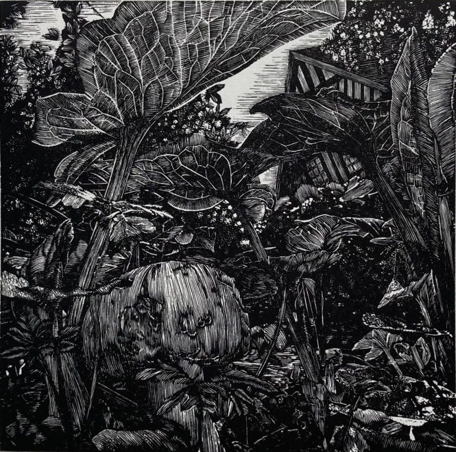 Ellie Cliftlands  Elf of Plants